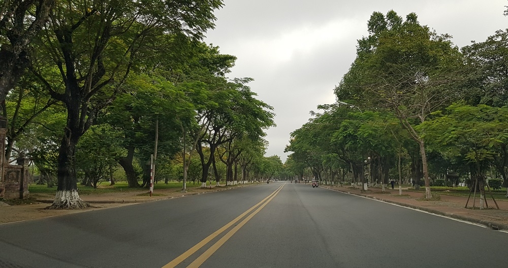 Thừa Thiên - Huế: Tăng cường quản lý cây xanh đô thị trong mùa mưa bão