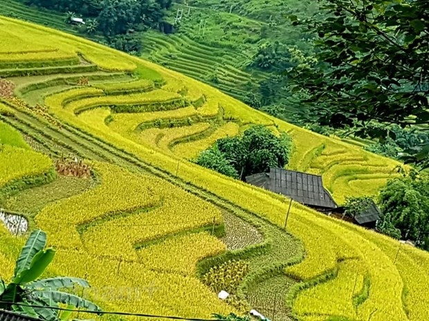 du lich ha giang huong toi thich ung an toan voi covid 19