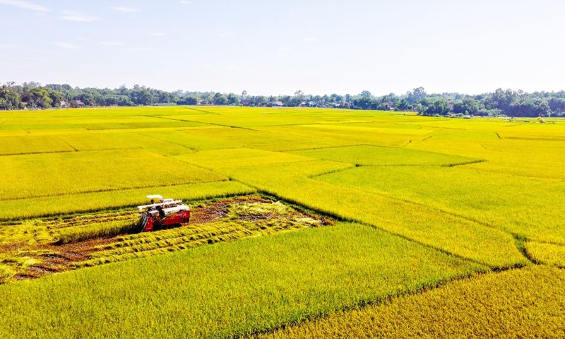 Thủ tục môi trường đối với dự án phải chuyển đổi đất lúa