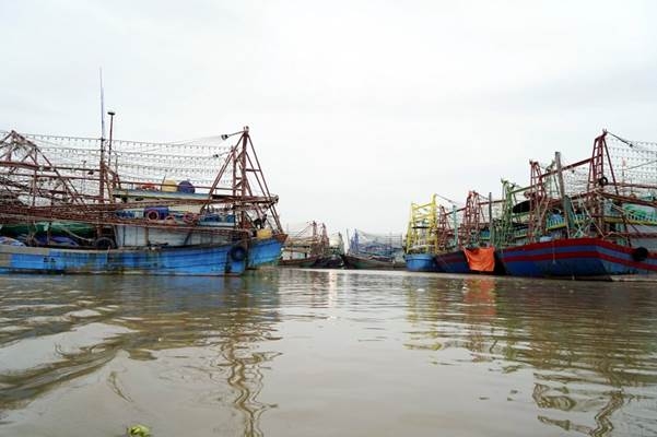 Hải Phòng: Không cho tàu cá xuất, nhập bến tại cảng cá Ngọc Hải và Trân Châu khi chưa đủ điều kiện khai thác