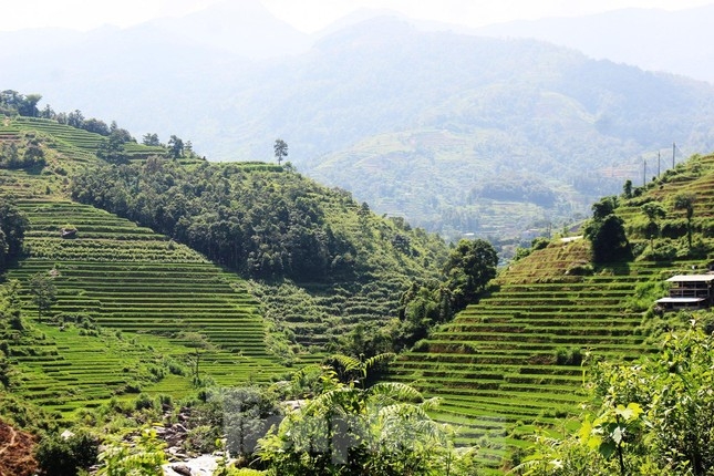 cac dia phuong lien tuc dau gia dat voi muc khoi diem tu vai trieu dongm2