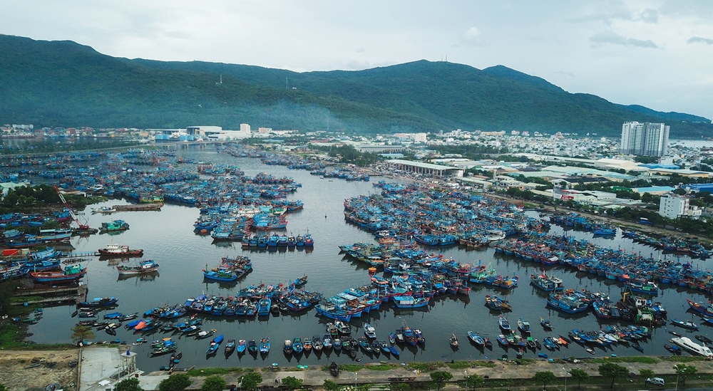 Công ty Đường Việt tiếp tục trúng gói thầu lớn tại Đà Nẵng