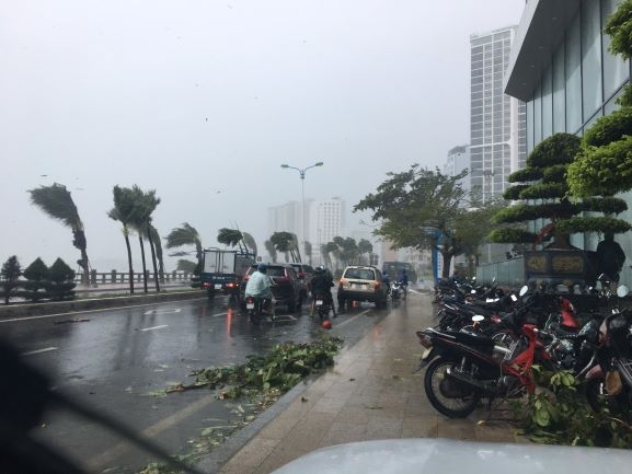 Bão số 12 gây mưa to, gió lớn tại thành phố Nha Trang