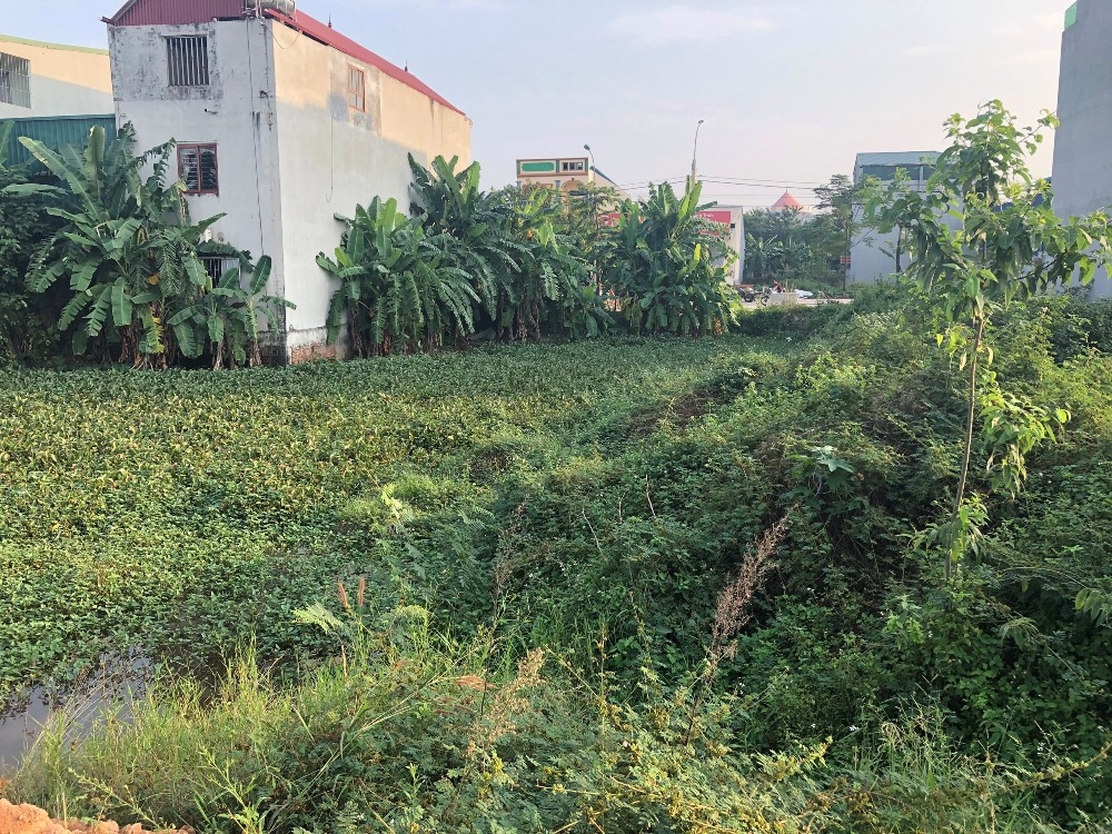 Vĩnh Tường (Vĩnh Phúc): Sẽ tổ chức cưỡng chế thu hồi đất thực hiện dự án Trung tâm thương mại và nhà ở Phúc Sơn tại xã Thượng Trưng