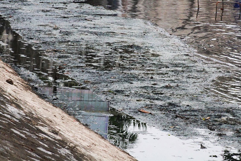 Giải pháp xử lý ô nhiễm sông Tô Lịch: Cần khôi phục sự sống cho dòng sông