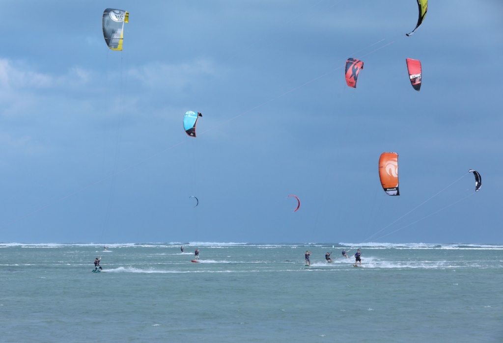 Biển Ninh Chữ sôi động trong “đại tiệc” lướt ván diều