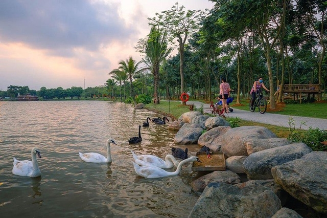 biet thu tron khoi bui dep binh yen ngap cay xanh cua vo chong o ha noi