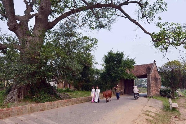 diem den ven ha noi duoc du khach lua chon nhieu dip tet duong lich