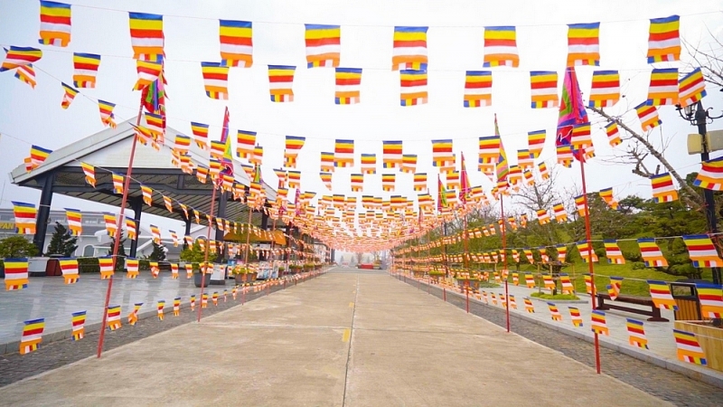 du xuan cau an tren dinh thieng fansipan nhung trai nghiem dang thu