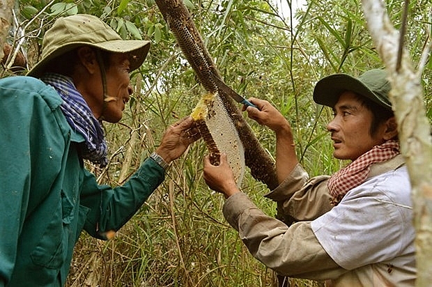 du lich ca mau san sang but pha khoi nguon tiem nang