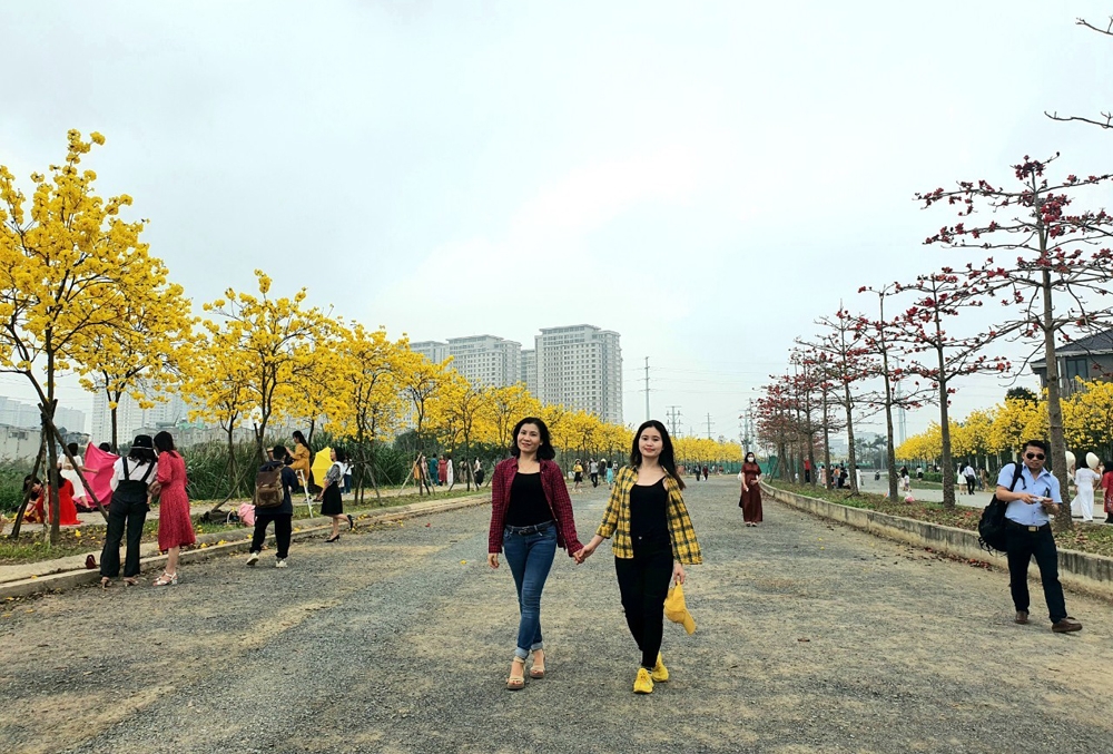 Đường hoa phong linh độc nhất vô nhị ở Thủ đô tỏa sắc đẹp như phim Hàn