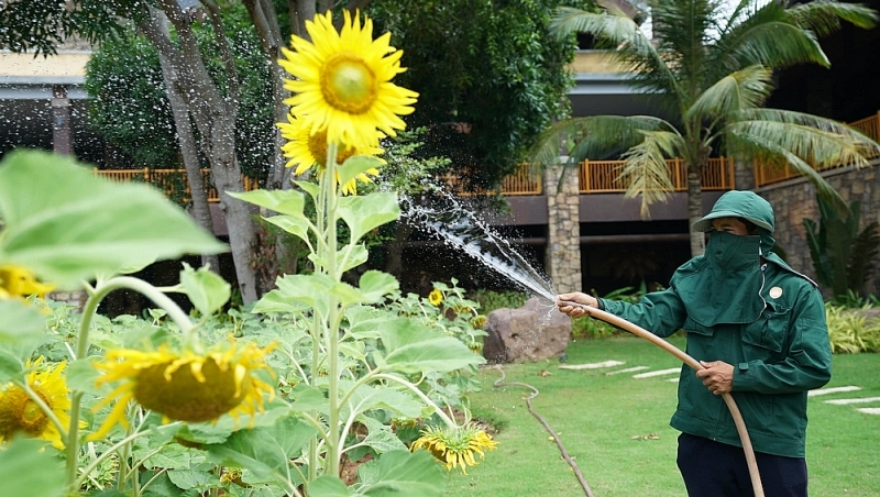 du lich ngu dong nhung hon thom van thuc