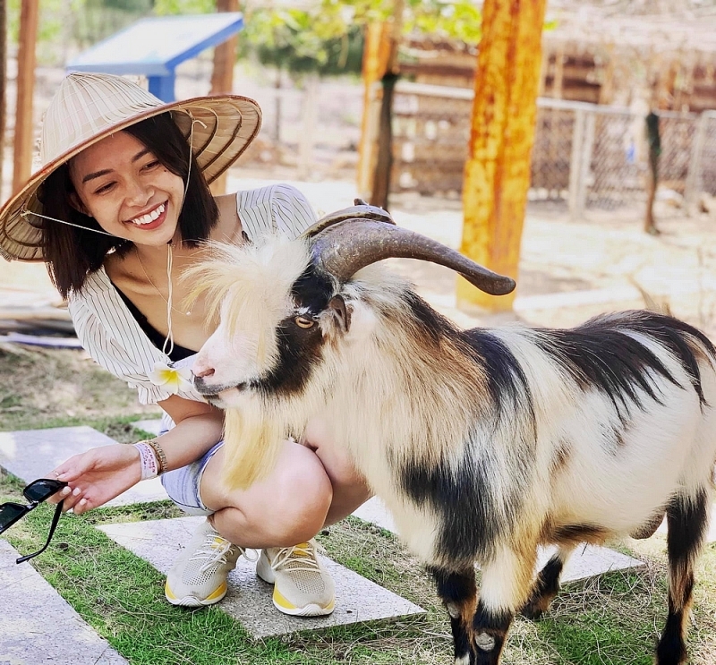 hoa minh vao thien nhien hoang da tai flc zoo safari park quy nhon