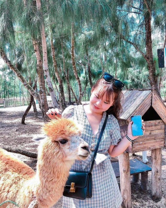 hoa minh vao thien nhien hoang da tai flc zoo safari park quy nhon