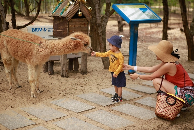 hoa minh vao thien nhien hoang da tai flc zoo safari park quy nhon