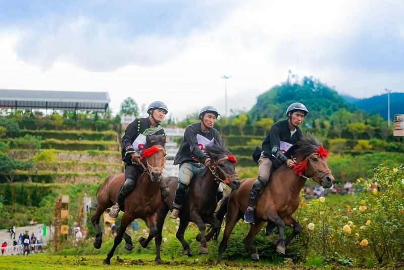 co gi dac biet o le hoi hoa hong fansipan 2022