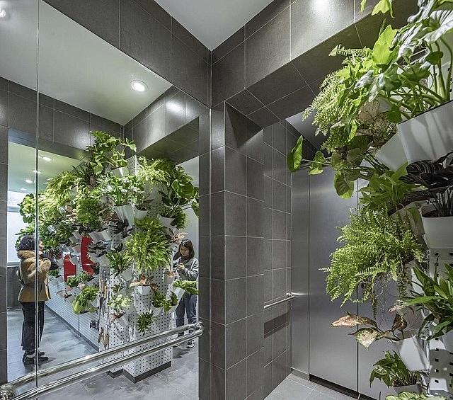 Nhà vệ sinh công cộng ở Trung Quốc gây “sốt” bởi trồng hàng nghìn cây xanh