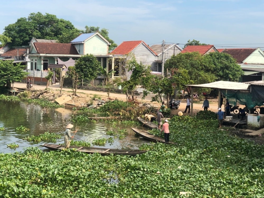 Thừa Thiên - Huế: Trục vớt, xử lý bèo lục bình làm đẹp dòng sông