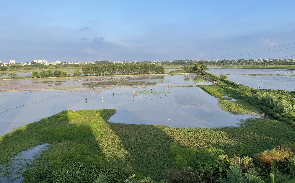 Chuyển mục đích sử dụng đất để thực hiện Dự án Cụm công nghiệp Quảng Khánh