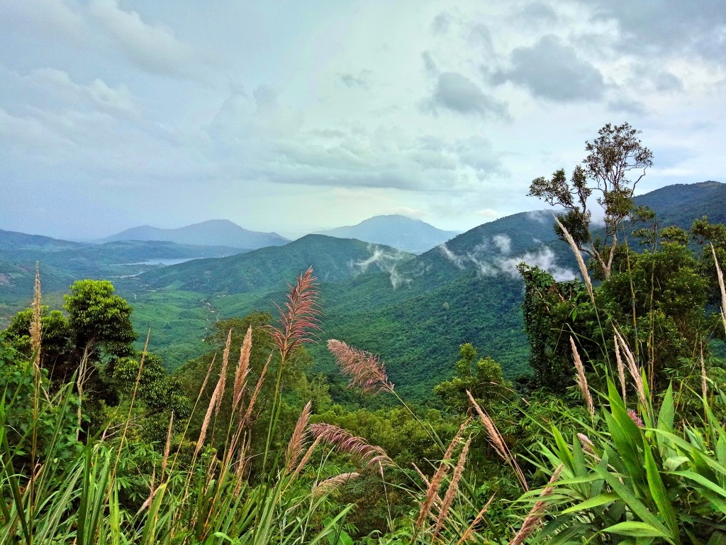 Đề xuất thủ tục thí điểm chuyển mục đích sử dụng rừng sang mục đích khác tại Khánh Hòa