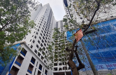 Bán “chui” căn hộ tại dự án Athena Complex Pháp Vân, Công ty 379 vẫn được giao dự án ở Thái Bình