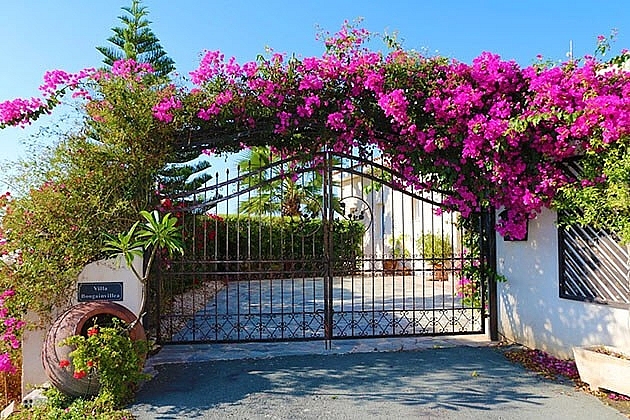 Những mẫu cổng nhà vườn đẹp thu hút mọi ánh nhìn