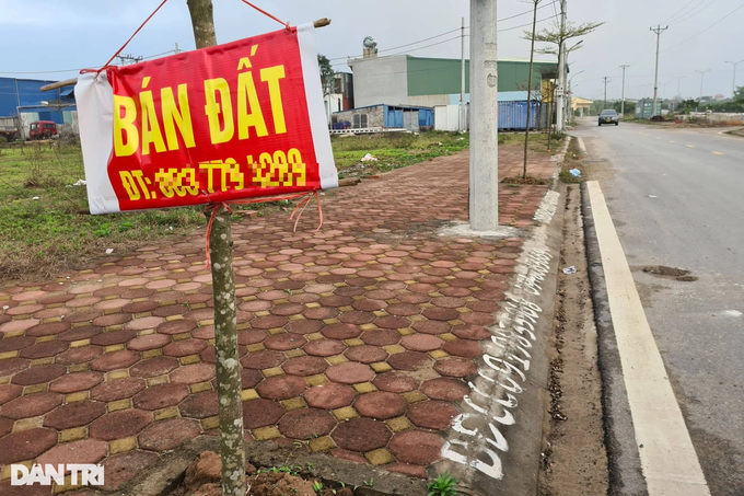 du bao trai chieu ve tinh trang ban thao dat nen