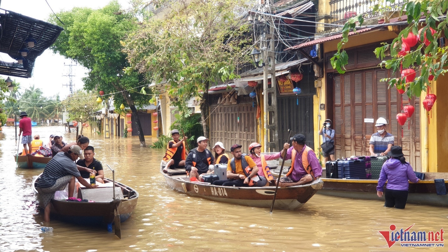 hoi an chim trong bien nuoc khach nuoc ngoai so tan bang ghe