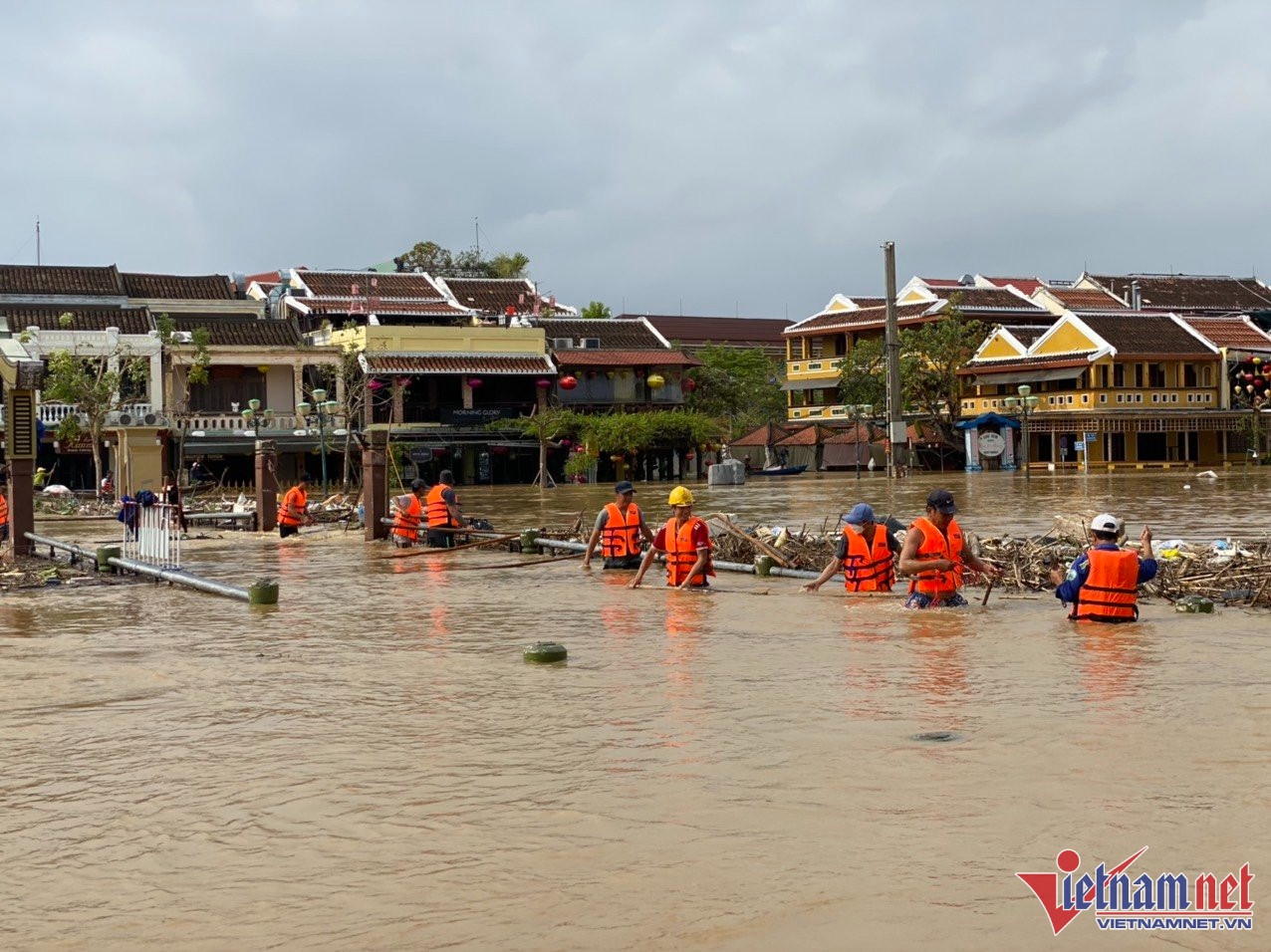 hoi an chim trong bien nuoc khach nuoc ngoai so tan bang ghe