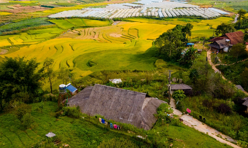  Lào Cai chấn chỉnh hành vi mua bán bất động sản trao tay 