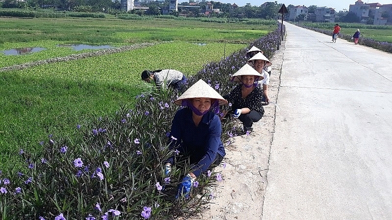 Lập Thạch (Vĩnh Phúc): Xã Thái Hoà xây dựng Nông thôn mới nâng cao