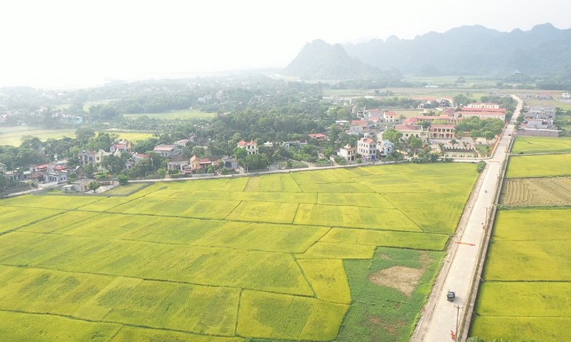 Phát triển sản xuất, nâng cao thu nhập là yếu tố quan trọng trong xây dựng nông thôn mới ở thành phố Ninh Bình