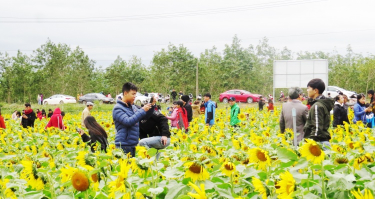 Quảng Bình: Xuân về rộn ràng trên làng hoa Lý Trạch