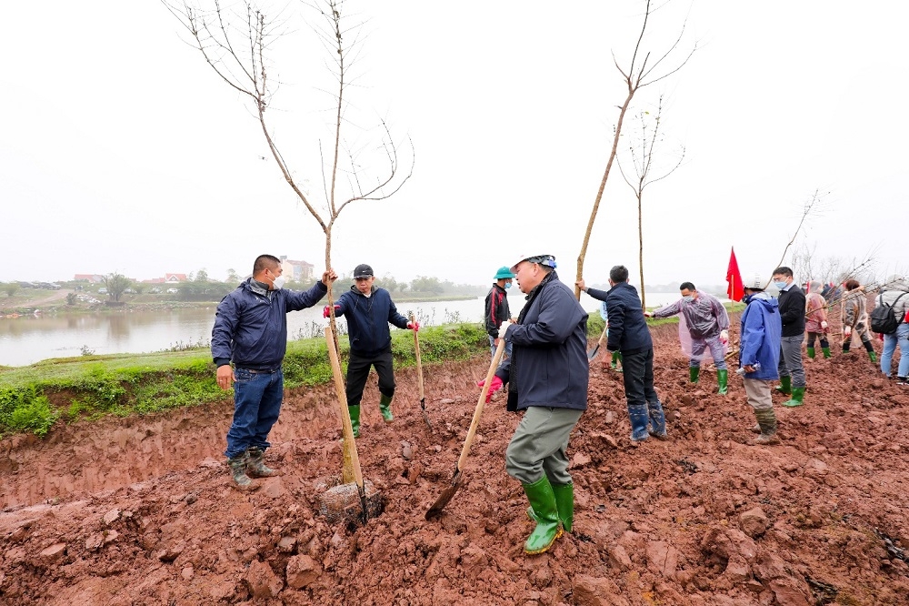 khoi dong tet trong cay tai du an khu do thi sinh thai van giang