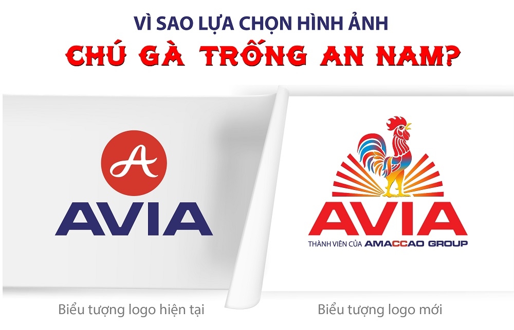 Vì sao logo mới AVIA chọn hình ảnh chú gà trống An Nam với ngũ đức “Văn - Võ - Dũng - Nhân - Tín”?