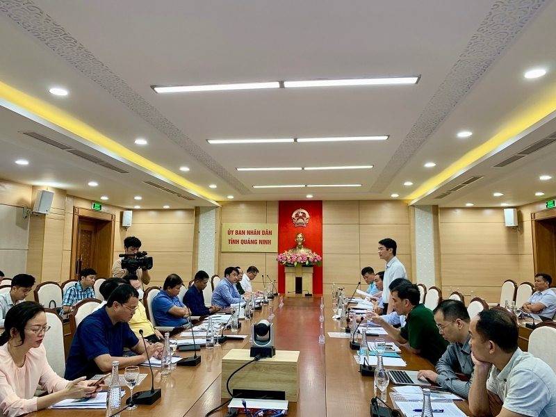 inspection of natural disaster prevention and control in quang ninh province