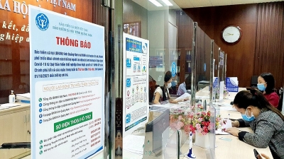 BHXH Việt Nam chỉ đạo BHXH các tỉnh, thành phố khẩn trương phối hợp với Sở Y tế đảm bảo cung ứng thuốc, vật tư y tế phục vụ KCB BHYT