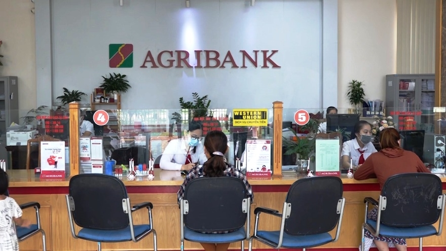 Agribank tiếp sức hộ sản xuất, doanh nghiệp vững tin vượt qua đại dịch
