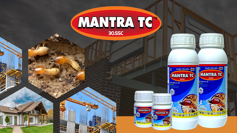 Mantra TC: Mảnh ghép hoàn hảo cho giải pháp trừ mối hiệu quả và chi phí tối ưu cho các công trình xây dựng