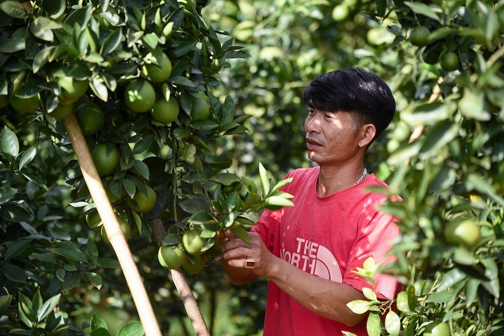 Khánh thành nhà máy chế biến hoa quả tươi 3.500 tỷ: Ước mơ nhiều đời của nông dân Sơn La đang thành hiện thực