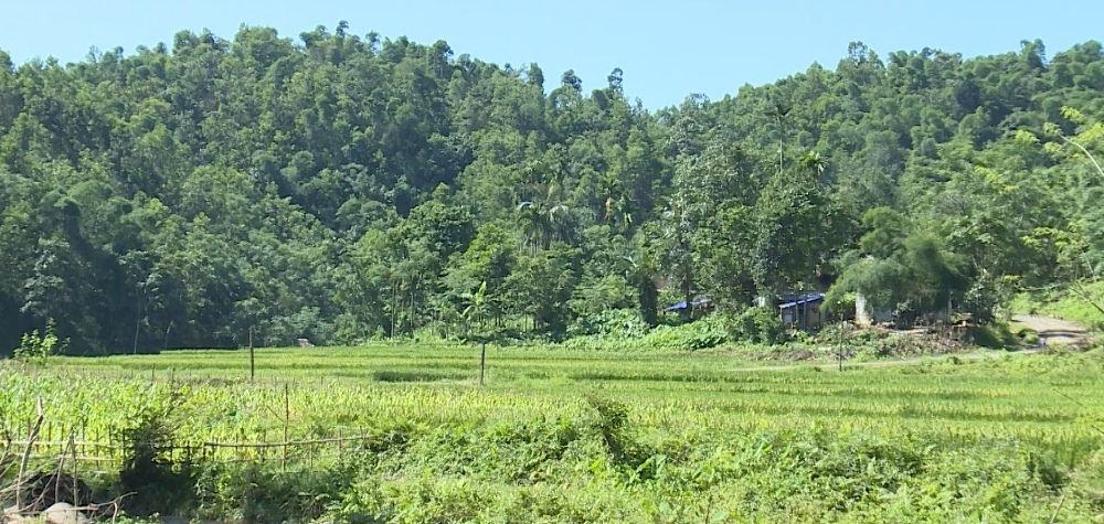 lang chanh thanh hoa co hoi moi cho nganh cong nghiep khong khoi