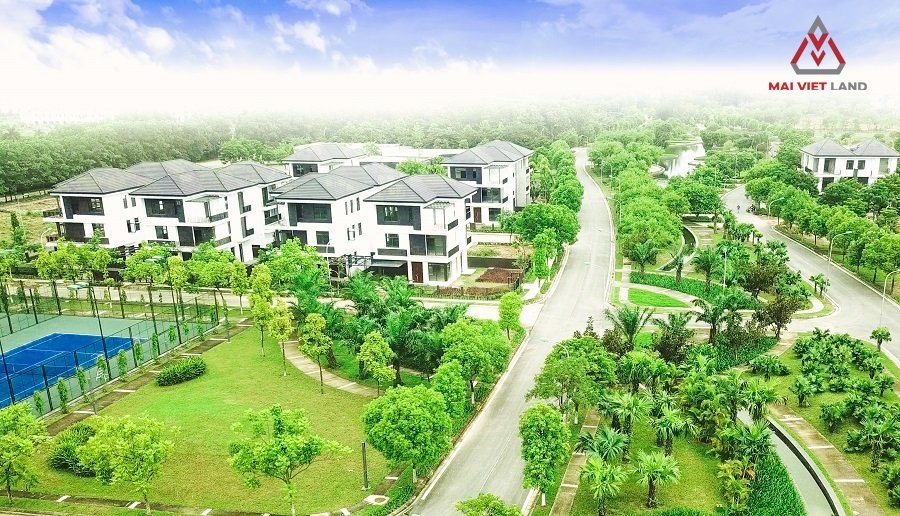 Mai Việt Land chính thức phân phối “siêu dự án” sinh thái Hado Charm Villas