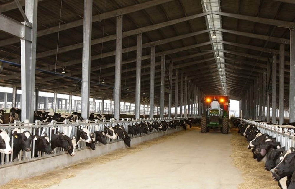 Tập đoàn TH hoàn thành thỏa thuận mua 3 trang trại gia súc ở Australia