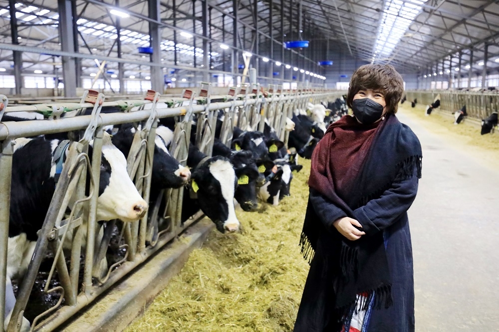 Tổ hợp chăn nuôi bò và chế biến sữa TH 2,7 tỷ USD: Điểm sáng trong hợp tác Việt - Nga