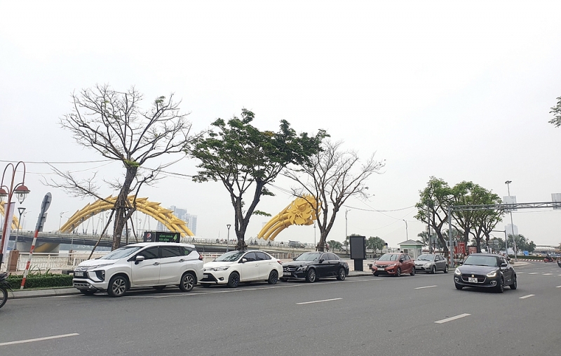 da nang bai toan kho trong xu ly rac canh nhanh cay xanh