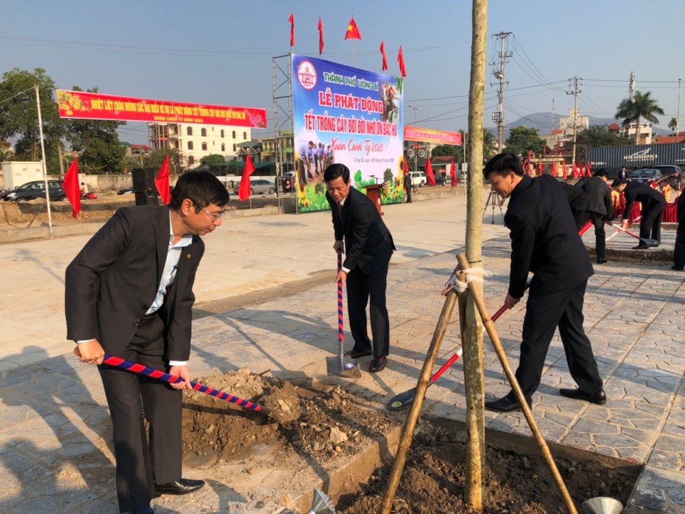 Uông Bí (Quảng Ninh): Địa phương đầu tiên trên cả nước phủ xanh đất trống khu đô thị chưa xây dựng