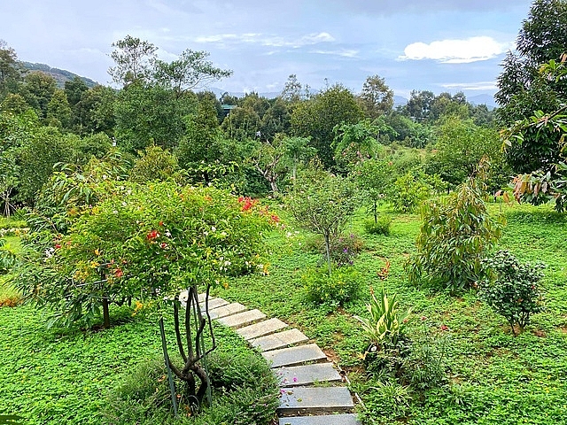 trang trai rong 15 ha tran ngap rau trai sach cua nu giang vien o sai gon