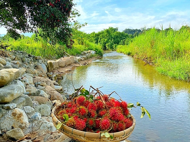 trang trai rong 15 ha tran ngap rau trai sach cua nu giang vien o sai gon