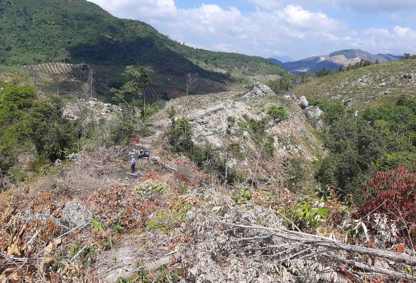 Khánh Hòa: Cận cảnh rừng núi Đá Hang bị “triệt hạ” không thương tiếc
