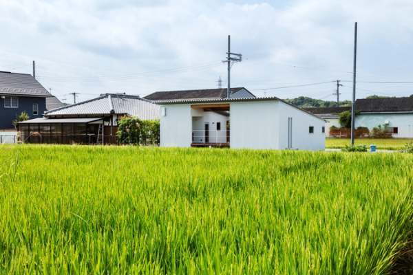 Chuyển mục đích sử dụng đất trồng lúa sang đất phi nông nghiệp tại Long An